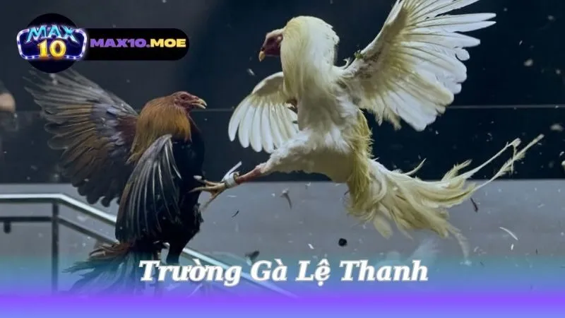 Trường Gà Lệ Thanh - Điểm Đến Hấp Dẫn Cho Tín Đồ Cá Cược 1 truong-ga-le-thanh